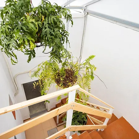Ek Eucaliptos Ferienhaus
